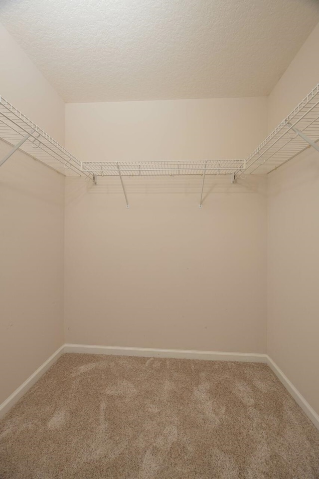 932 Spring Lake Ct, Saint Augustine, FL 32080 - photo 39