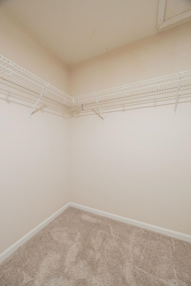 932 Spring Lake Ct, Saint Augustine, FL 32080 - photo 42