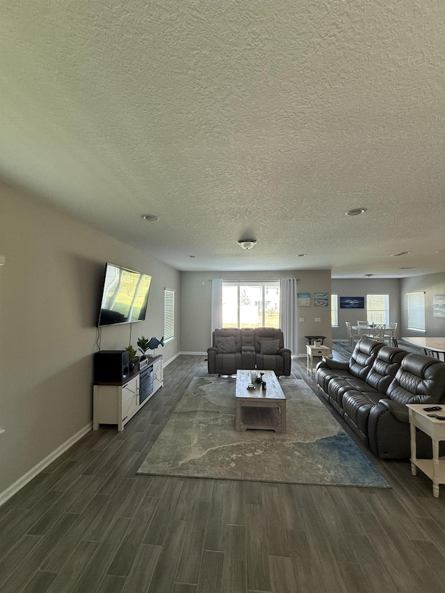 129 Torres Trce, Saint Augustine, FL 32095 - photo 3