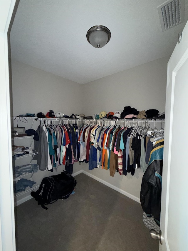 129 Torres Trce, Saint Augustine, FL 32095 - photo 23