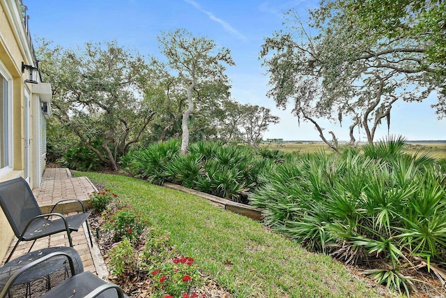 1602 Windjammer Ln, Saint Augustine, FL 32084 - view of yard