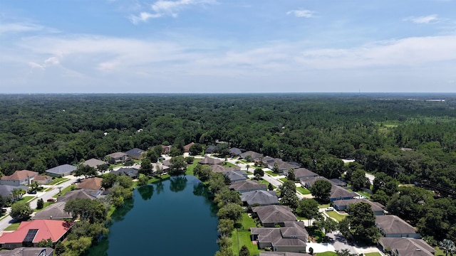326 Gianna Way, Saint Augustine, FL 32086 - aerial perspective of suburban area featuring a forest and a large body of water