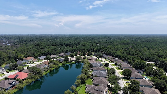 326 Gianna Way, Saint Augustine, FL 32086 - aerial perspective of suburban area featuring a forest and a nearby body of water