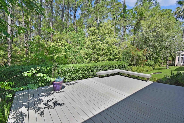 561 Boxwood Pl, Saint Augustine, FL 32086 - photo 26