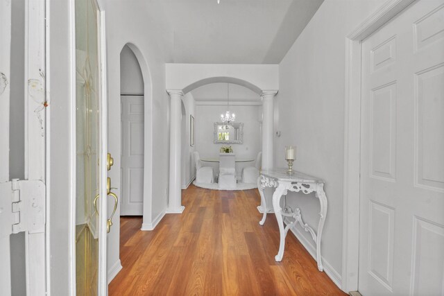 561 Boxwood Pl, Saint Augustine, FL 32086 - photo 2