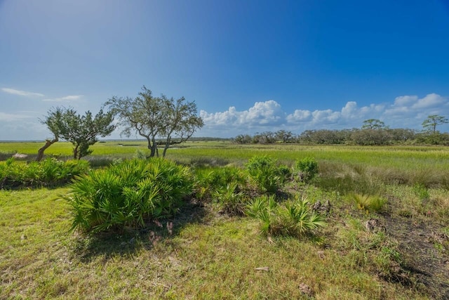 view of landscape featuring a rural view