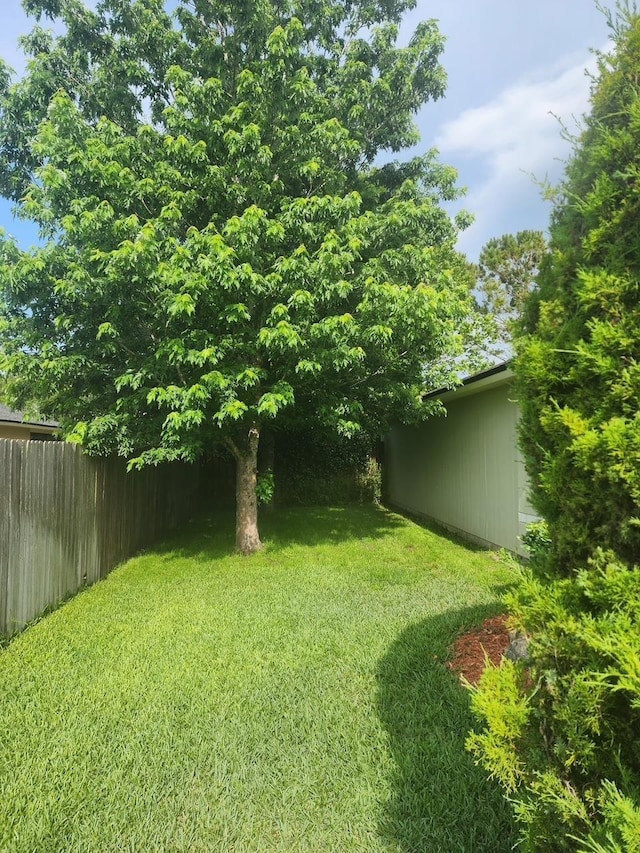 142 Patriot Ln, Elkton, FL 32033 - view of yard