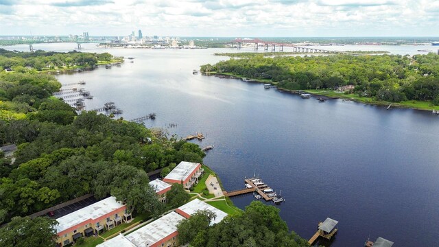 5811 Atlantic Blvd Unit 57, Jacksonville, FL 32207 - aerial view of a nearby body of water and a notable bridge