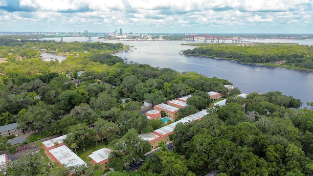5811 Atlantic Blvd Unit 57, Jacksonville, FL 32207 - aerial view of a notable bridge and a nearby body of water