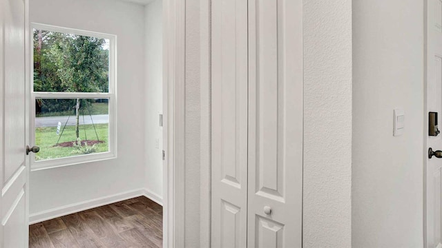 entryway featuring hardwood / wood-style flooring