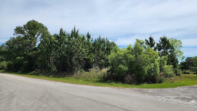 500 Palm Way, Georgetown FL, 32139 land for sale