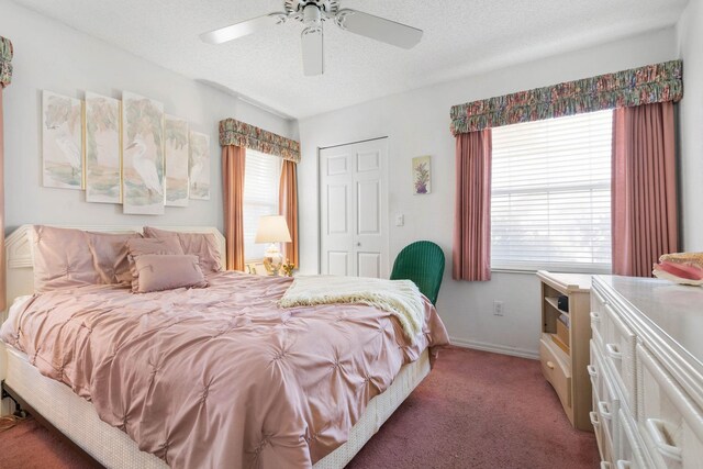 19 San Rafael Ct, Palm Coast, FL 32137 - bedroom featuring multiple windows, a closet, carpet floors, ceiling fan, and a textured ceiling