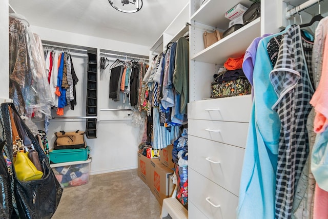 19 San Rafael Ct, Palm Coast, FL 32137 - spacious closet featuring carpet