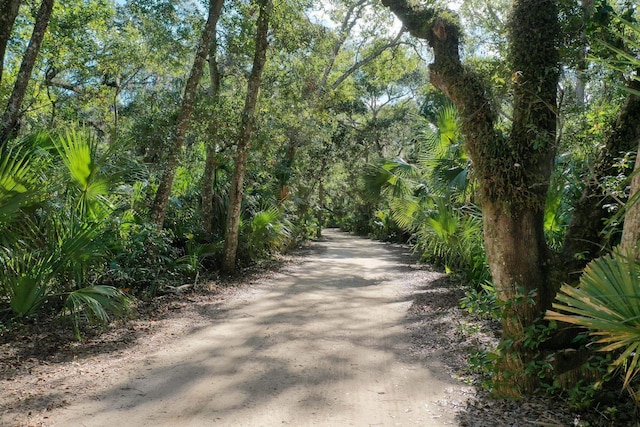 19 San Rafael Ct, Palm Coast, FL 32137 - view of road