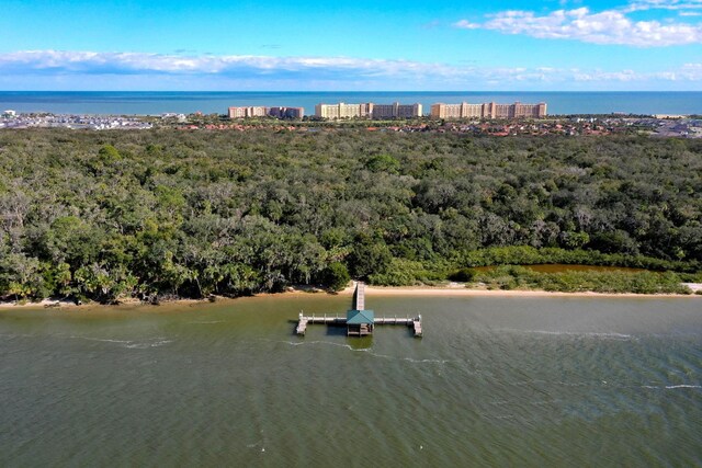 19 San Rafael Ct, Palm Coast, FL 32137 - drone / aerial view of a nearby body of water and a forest