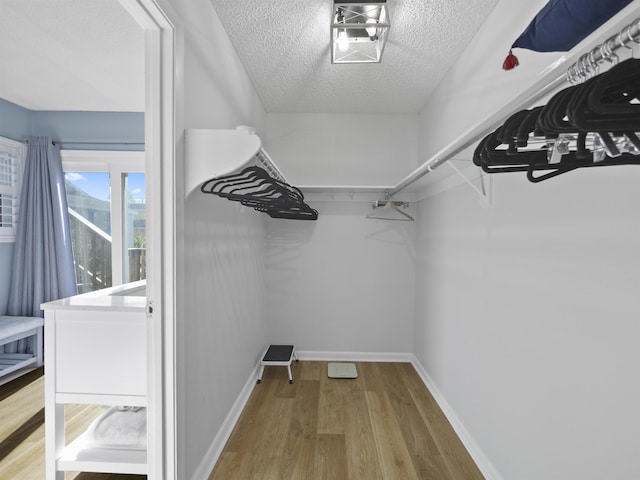 walk in closet with wood-type flooring