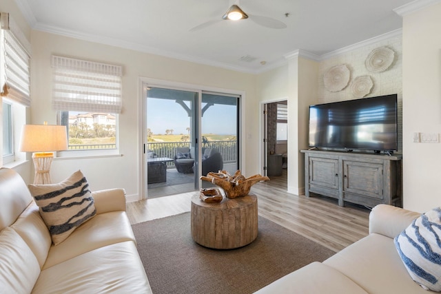 living room with light wood-type flooring, ceiling fan, and ornamental molding