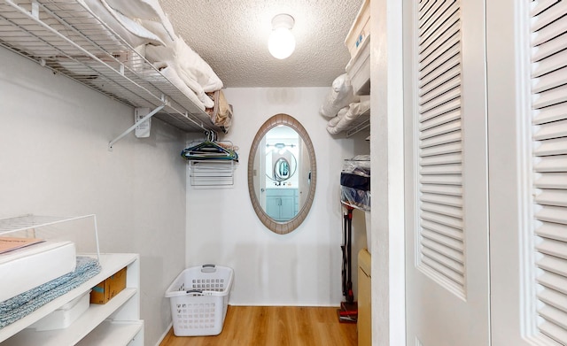 walk in closet with light wood-type flooring