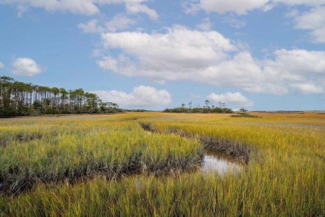 545 Sebastian Sq, Saint Augustine, FL 32095 - view of undeveloped land