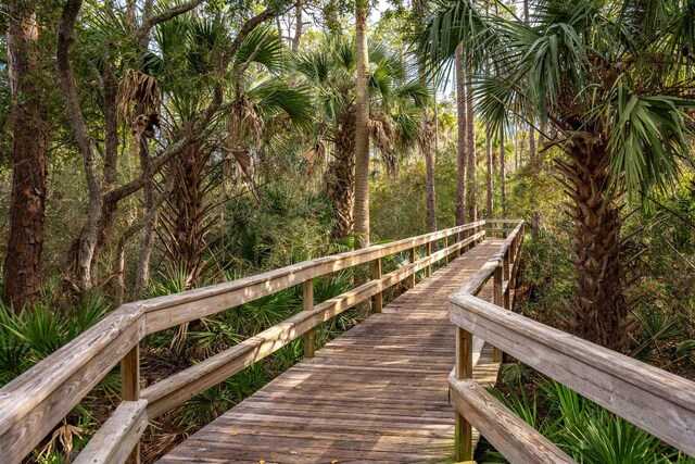 545 Sebastian Sq, Saint Augustine, FL 32095 - view of community