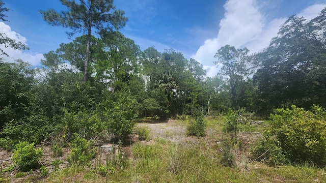 302 Dogwood Ave, Georgetown FL, 32139 land for sale