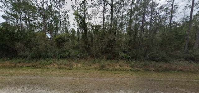 4345 Guy St, Hastings FL, 32145 land for sale