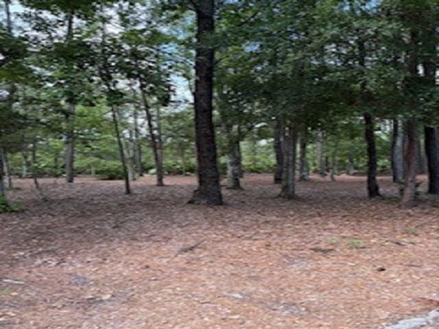 6941 Catlett Rd, Saint Augustine, FL 32095 - photo 4
