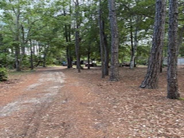 6941 Catlett Rd, Saint Augustine, FL 32095 - photo 3