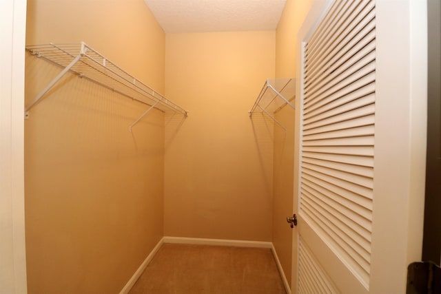 walk in closet featuring carpet