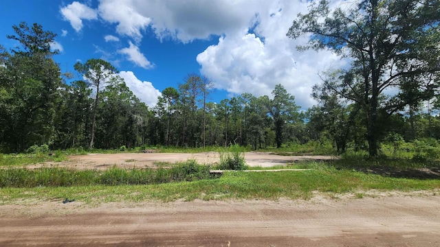 10660 Flikkema Ave, Hastings FL, 32145 land for sale