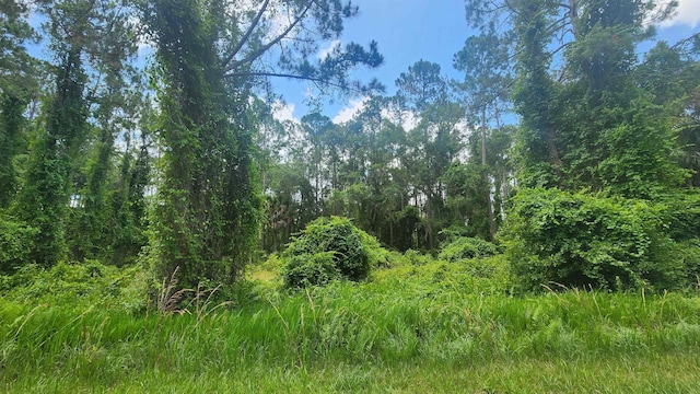 123 2nd St, Georgetown FL, 32139 land for sale