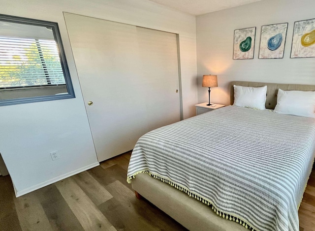 bedroom with wood-type flooring and a closet