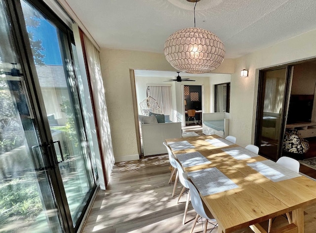 dining area featuring hardwood / wood-style flooring, a textured ceiling, and a wall of windows