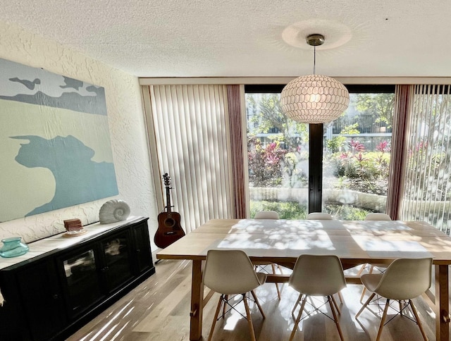 dining area featuring a healthy amount of sunlight, light hardwood / wood-style flooring, and a textured ceiling