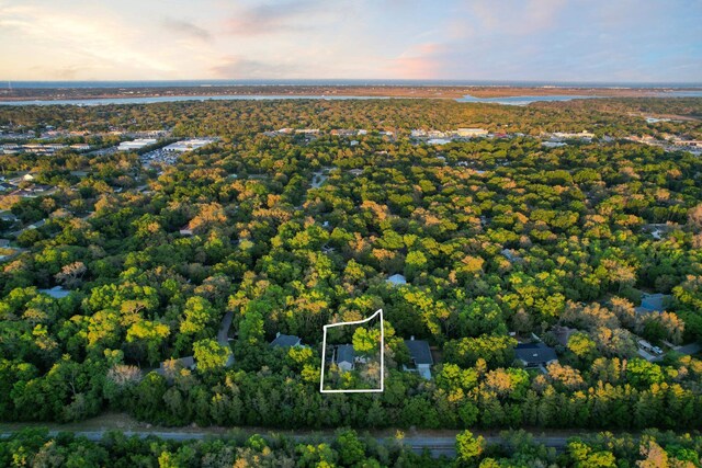 aerial view at dusk with a view of trees and a water view
