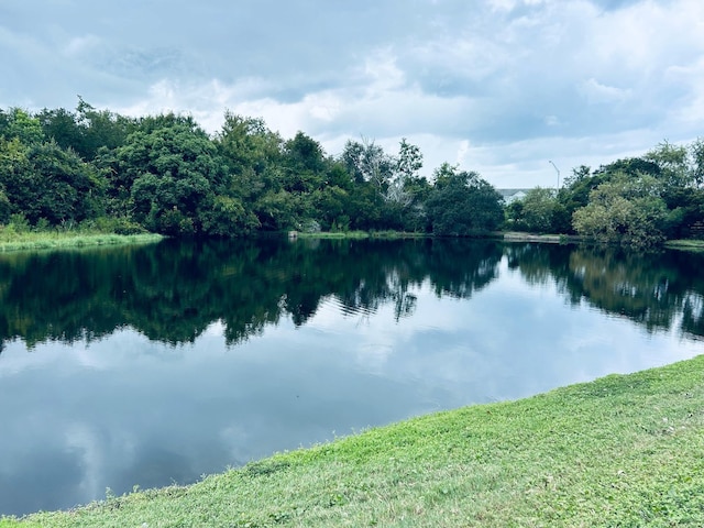 view of water feature