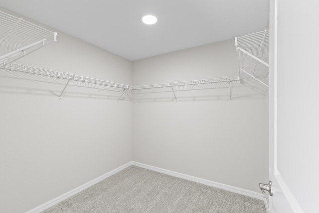 spacious closet with carpet