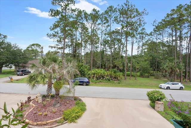 22 Woodston Ln, Palm Coast, FL 32164 - photo 67
