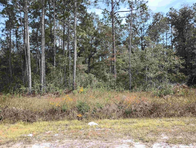 10440 Flikkema Ave, Hastings FL, 32145 land for sale