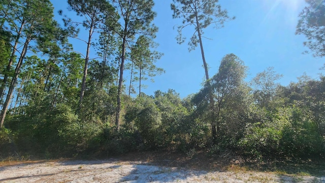 S Georgetown Point Rd, Georgetown FL, 32139 land for sale