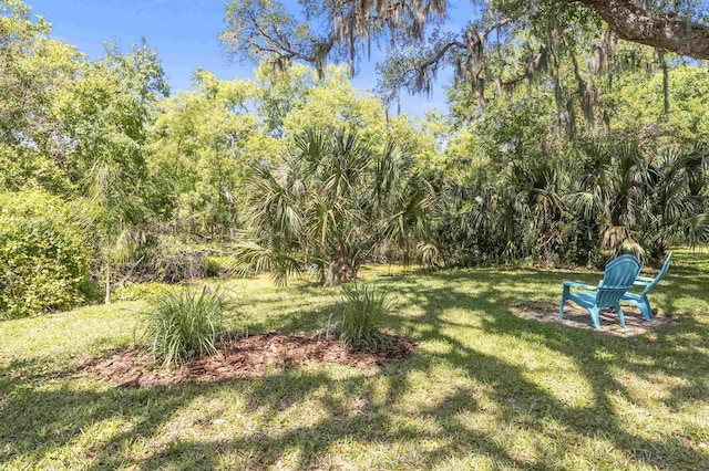 1036 Saltwater Cir, Saint Augustine, FL 32080 - view of green lawn