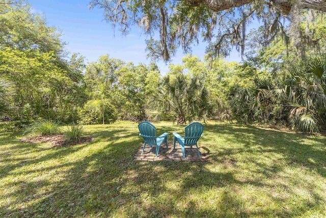 1036 Saltwater Cir, Saint Augustine, FL 32080 - view of green lawn