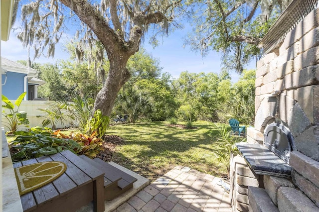 1036 Saltwater Cir, Saint Augustine, FL 32080 - view of grassy yard with a patio