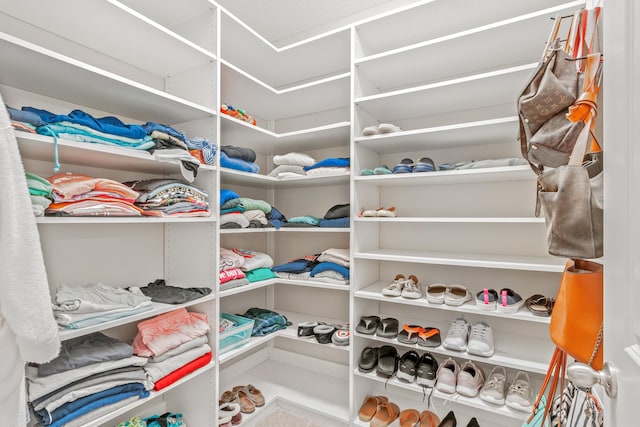 view of walk in closet