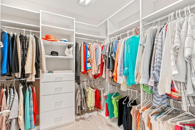 spacious closet with carpet floors