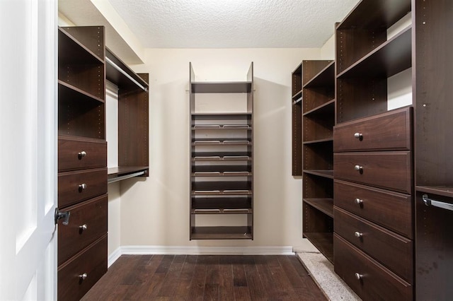 spacious closet with dark hardwood / wood-style floors