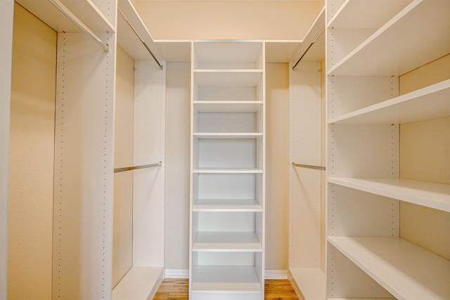 20102 Harbour Vista Cir, Saint Augustine, FL 32080 - spacious closet with light wood-style flooring