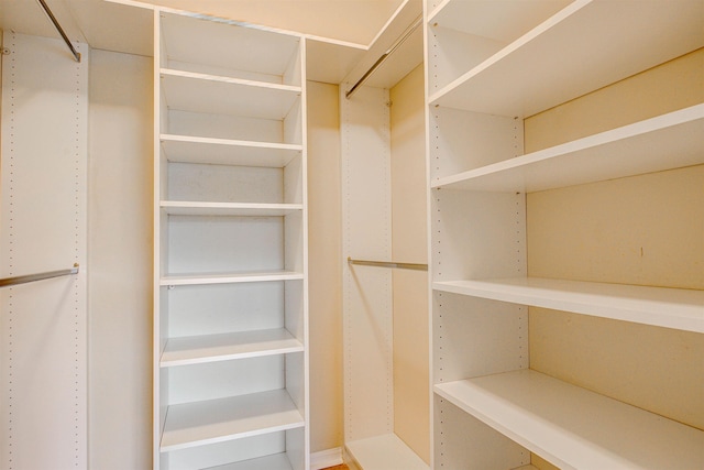 20102 Harbour Vista Cir, Saint Augustine, FL 32080 - view of spacious closet