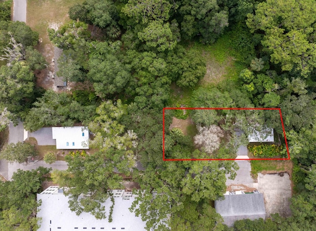 156 N Saint Johns St, Saint Augustine, FL 32084 - photo 15