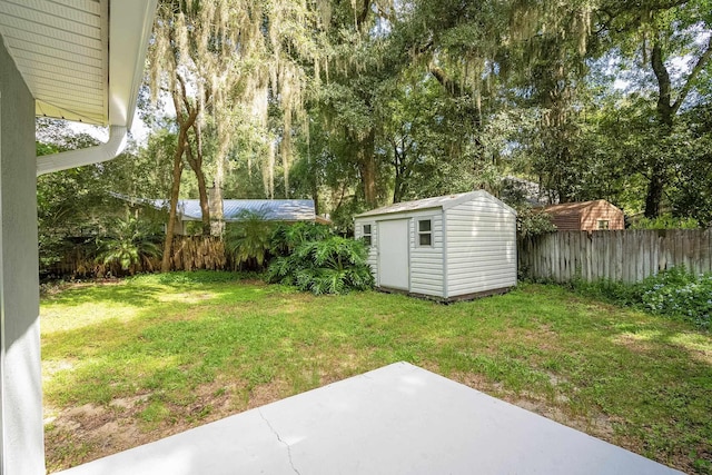 view of yard with a patio and a shed